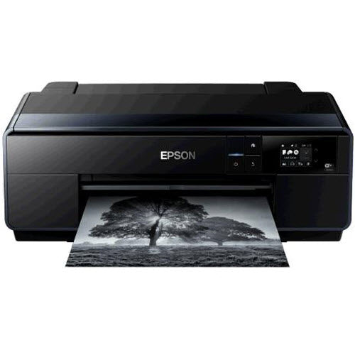 Epson SureColor P600 Ink