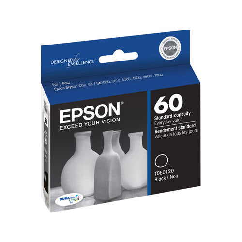 OEM Epson T060120 Black Ink Cartridge (450 Pages)